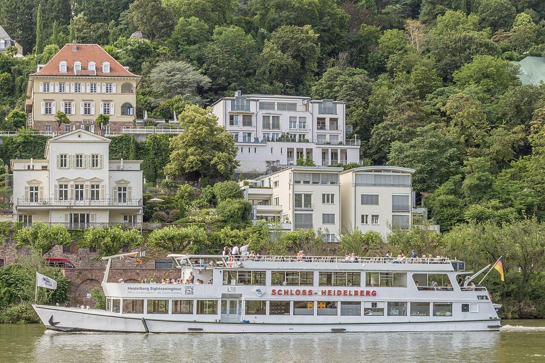 Schloss Heidelberg vom Neckarufer aus